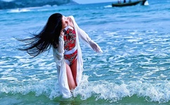 古代高N车多肉多